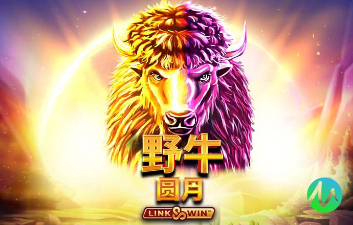 5156威尼斯人